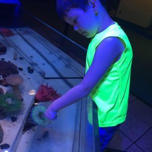 Meet your Posher, Bonnie